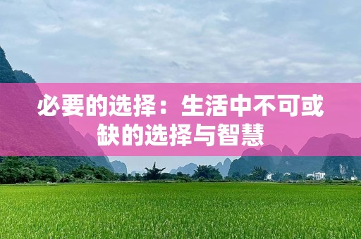 必要的选择：生活中不可或缺的选择与智慧