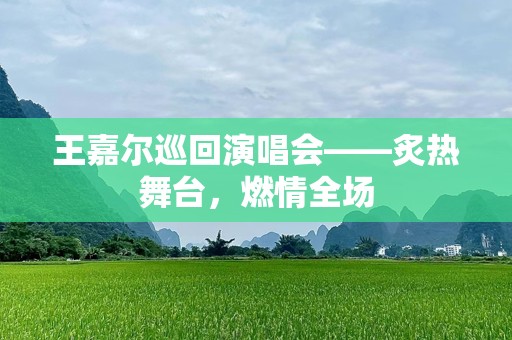 王嘉尔巡回演唱会——炙热舞台，燃情全场