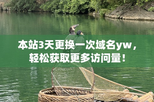 本站3天更换一次域名yw，轻松获取更多访问量！