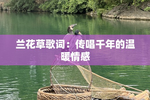 兰花草歌词：传唱千年的温暖情感