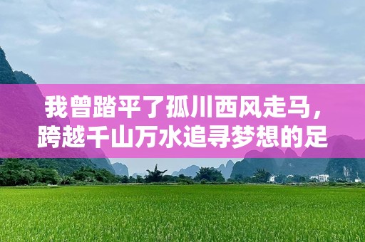 我曾踏平了孤川西风走马，跨越千山万水追寻梦想的足迹