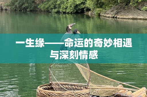 一生缘——命运的奇妙相遇与深刻情感
