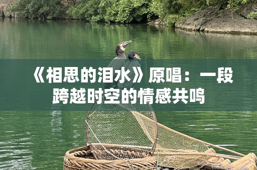 《相思的泪水》原唱：一段跨越时空的情感共鸣
