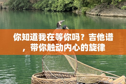 你知道我在等你吗？吉他谱，带你触动内心的旋律