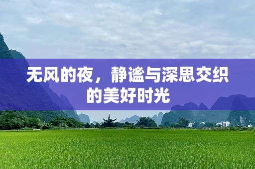 无风的夜，静谧与深思交织的美好时光