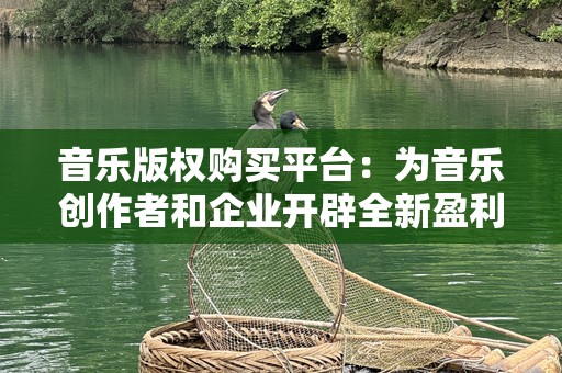 音乐版权购买平台：为音乐创作者和企业开辟全新盈利之路