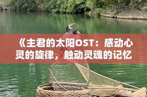 《主君的太阳OST：感动心灵的旋律，触动灵魂的记忆》