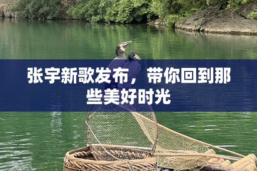 张宇新歌发布，带你回到那些美好时光