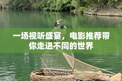 一场视听盛宴，电影推荐带你走进不同的世界