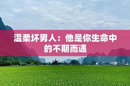 温柔坏男人：他是你生命中的不期而遇