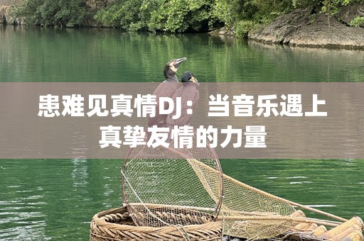 患难见真情DJ：当音乐遇上真挚友情的力量
