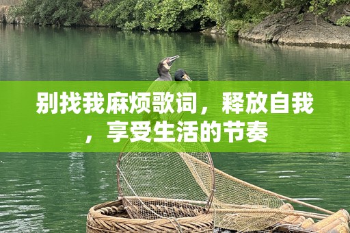 别找我麻烦歌词，释放自我，享受生活的节奏