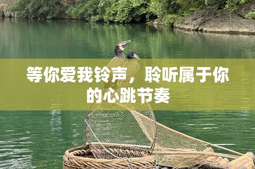 等你爱我***，聆听属于你的心跳节奏