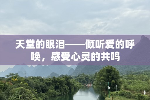 天堂的眼泪——倾听爱的呼唤，感受心灵的共鸣