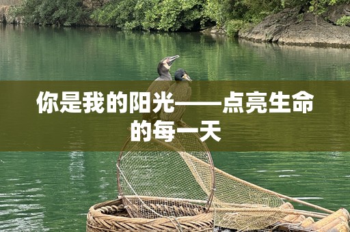 你是我的阳光——点亮生命的每一天