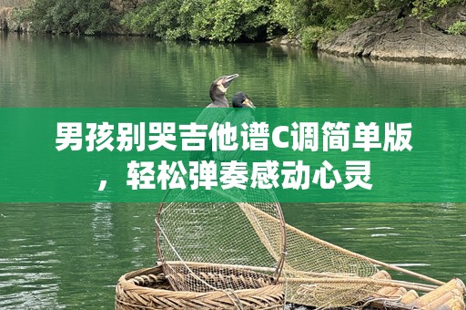 男孩别哭吉他谱C调简单版，轻松弹奏感动心灵