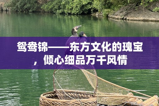 鸳鸯锦——东方文化的瑰宝，倾心细品万千风情