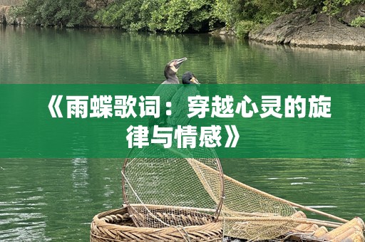 《雨蝶歌词：穿越心灵的旋律与情感》