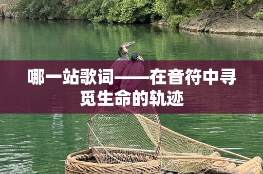 哪一站歌词——在音符中寻觅生命的轨迹