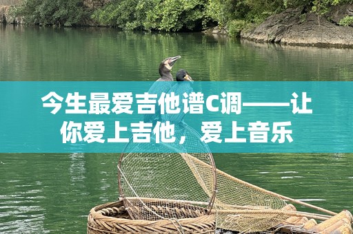 今生最爱吉他谱C调——让你爱上吉他，爱上音乐