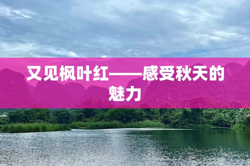 又见枫叶红——感受秋天的魅力
