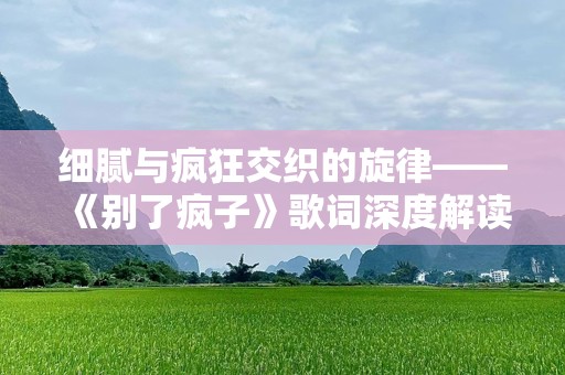 细腻与疯狂交织的旋律——《别了疯子》歌词深度解读