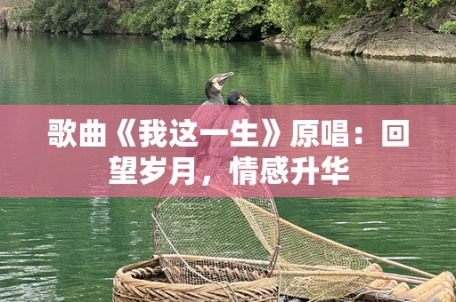 歌曲《我这一生》原唱：回望岁月，情感升华