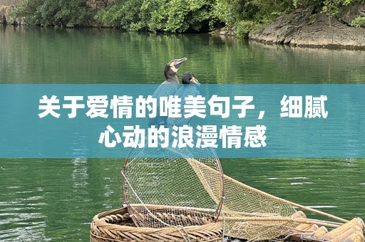 关于爱情的唯美句子，细腻心动的浪漫情感