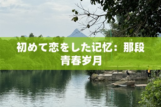 初めて恋をした记忆：那段青春岁月
