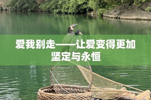 爱我别走——让爱变得更加坚定与永恒