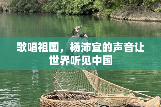 歌唱祖国，杨沛宜的声音让世界听见中国