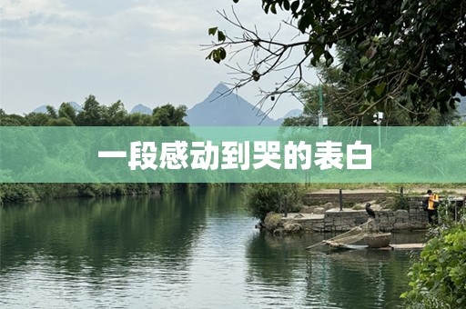 一段感动到哭的表白