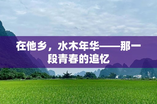 在他乡，水木年华——那一段青春的追忆