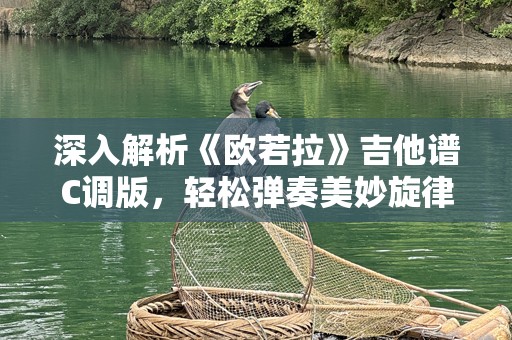 深入解析《欧若拉》吉他谱C调版，轻松弹奏美妙旋律