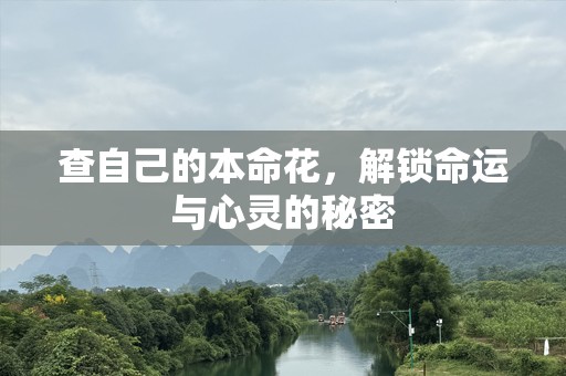 查自己的本命花，解锁命运与心灵的秘密