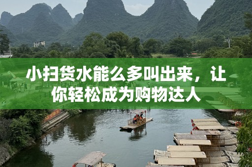 小扫货水能么多叫出来，让你轻松成为购物达人