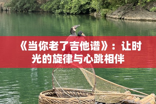 《当你老了吉他谱》：让时光的旋律与心跳相伴