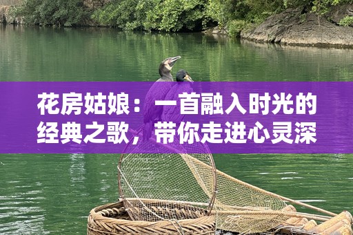 花房姑娘：一首融入时光的经典之歌，带你走进心灵深处的美丽