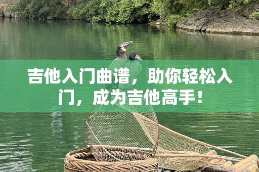 吉他入门曲谱，助你轻松入门，成为吉他高手！