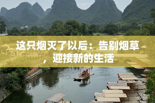 这只烟灭了以后：告别烟草，迎接新的生活