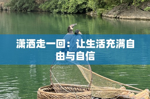 潇洒走一回：让生活充满自由与自信