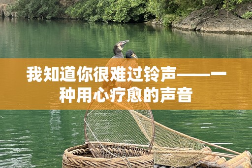 我知道你很难过铃声——一种用心疗愈的声音