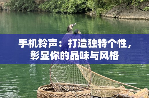 ***：打造独特个性，彰显你的品味与风格