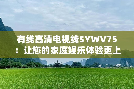有线高清电视线SYWV75：让您的家庭娱乐体验更上一层楼