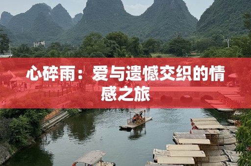 心碎雨：爱与遗憾交织的情感之旅