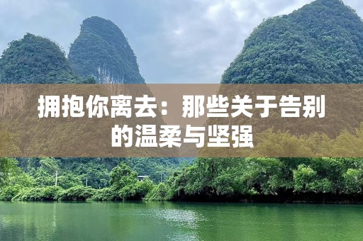 拥抱你离去：那些关于告别的温柔与坚强