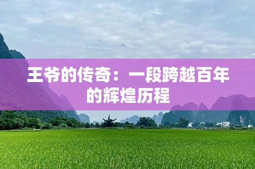 王爷的传奇：一段跨越百年的辉煌历程