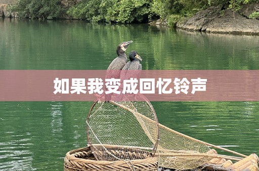 如果我变成回忆铃声