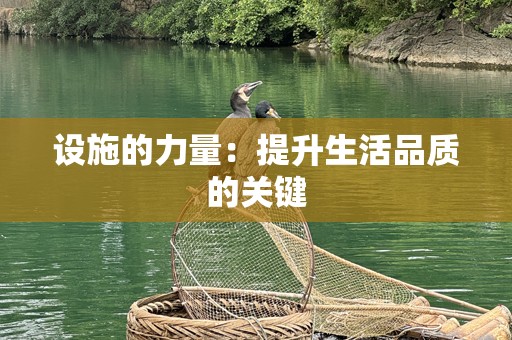 设施的力量：提升生活品质的关键
