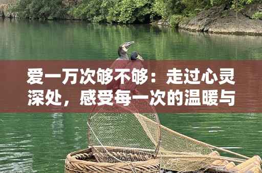 爱一万次够不够：走过心灵深处，感受每一次的温暖与触动